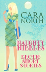 Naughty Nibbles_Cara North_130x200